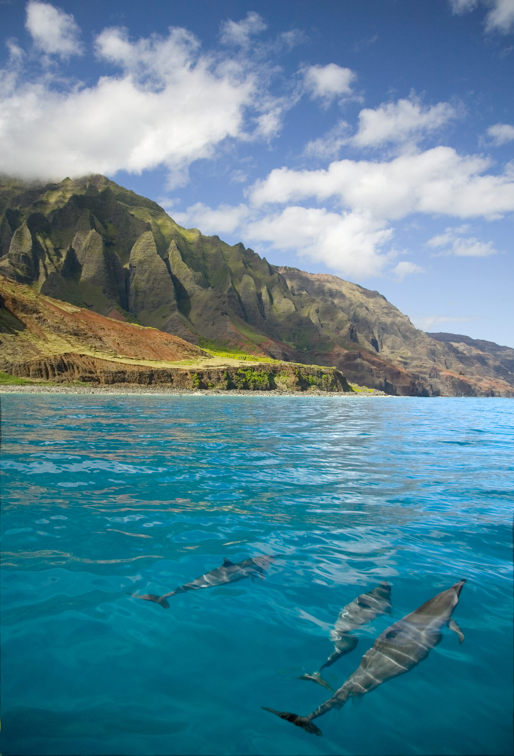 a large body of water with a mountain in the background