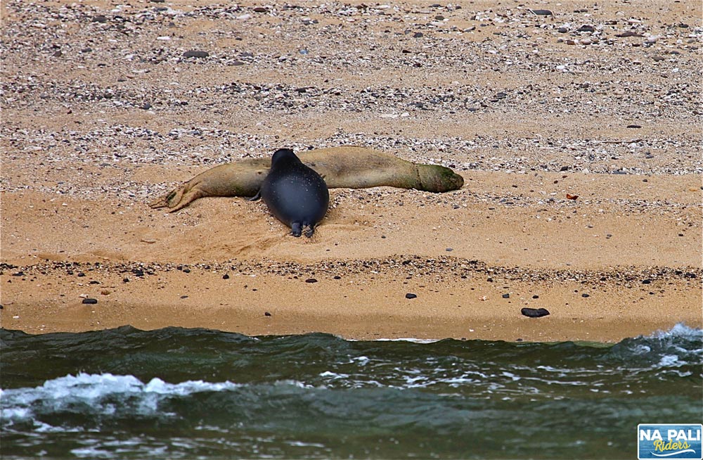 a person lying on a sandy beach next to a body of water