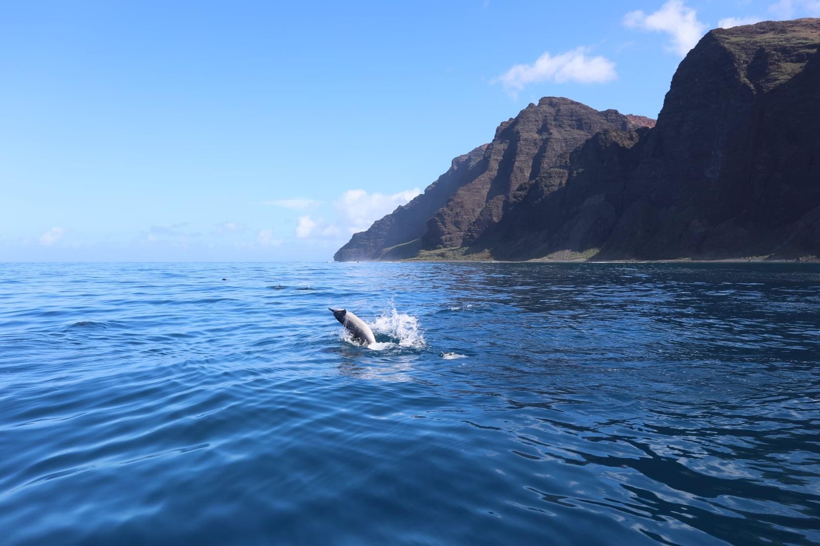 a body of water with a mountain in the background