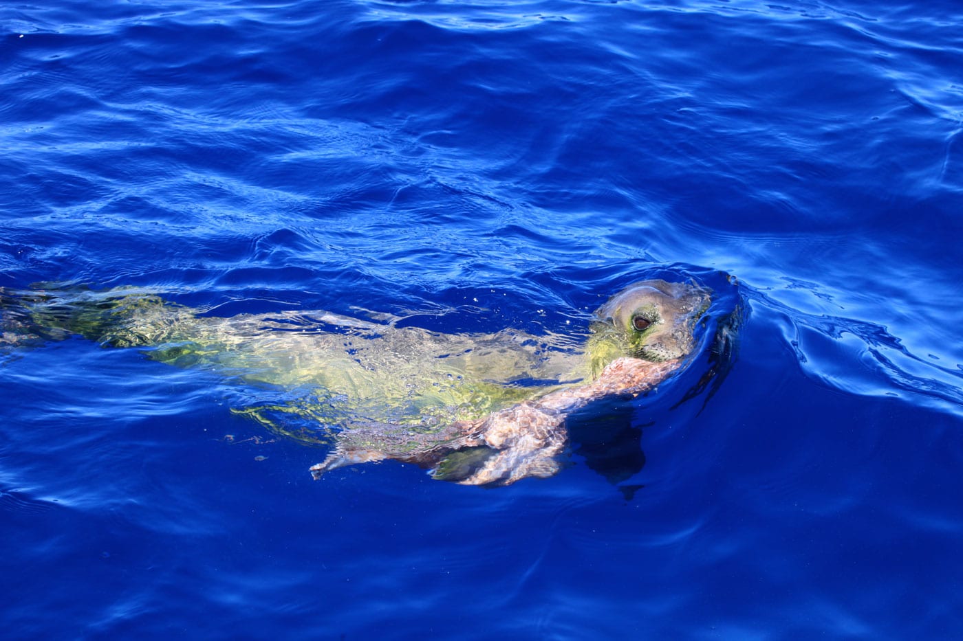 a man riding a wave on top of a body of water