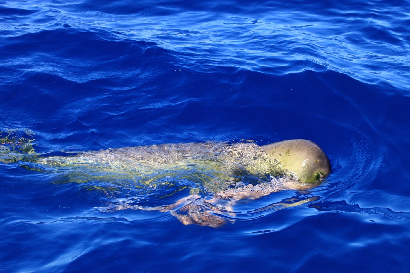 a man riding a wave on top of a body of water