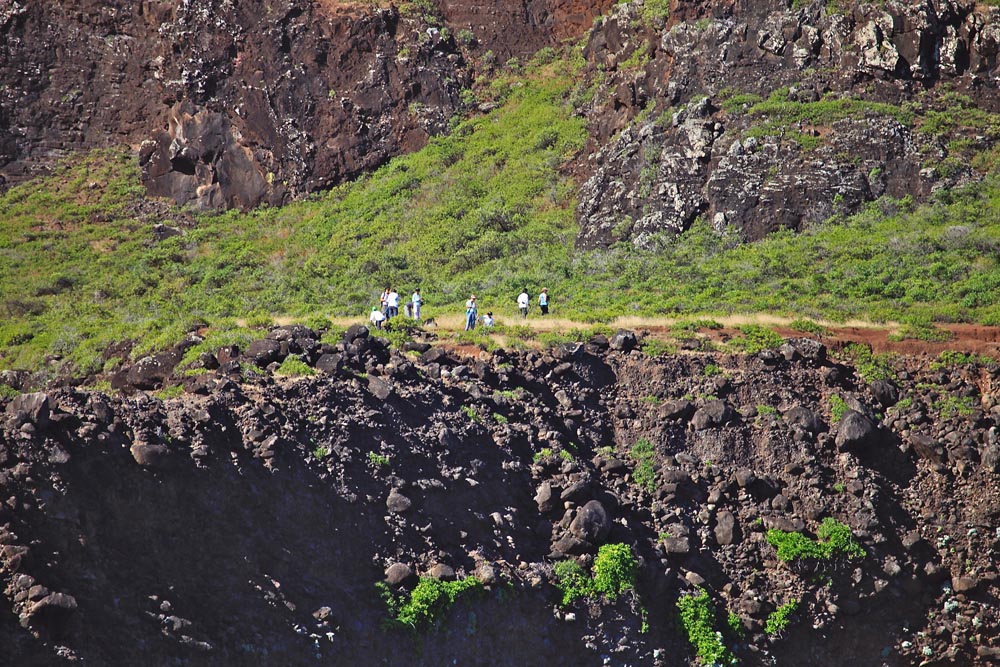 a herd of sheep standing on top of a rocky mountain