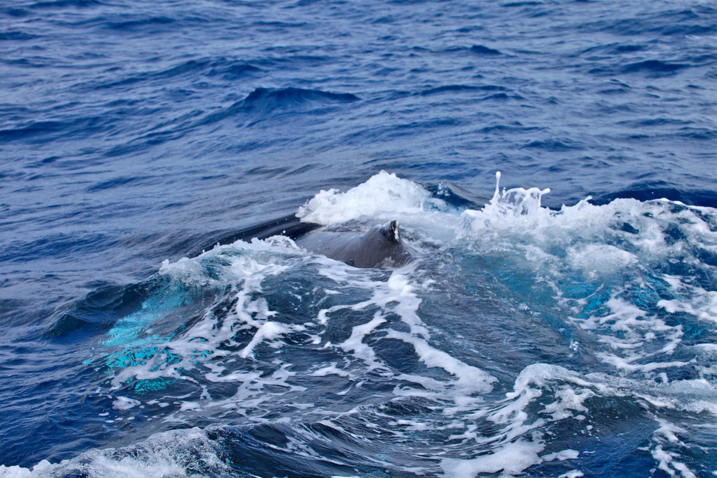 a man riding a wave on top of a body of water