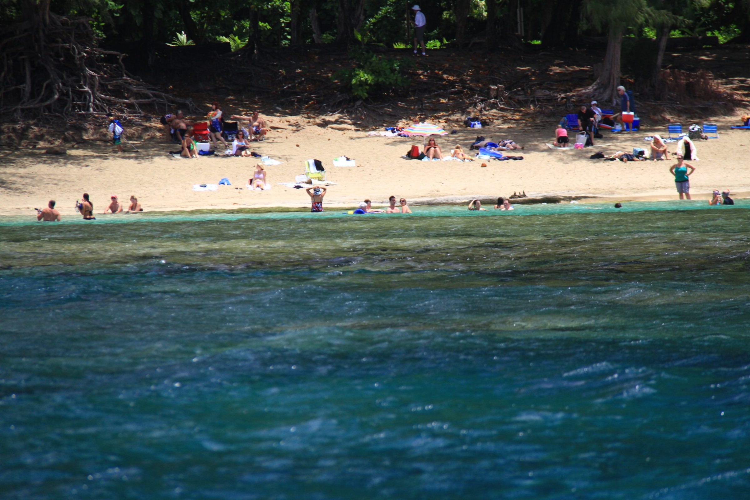 a group of people on a beach