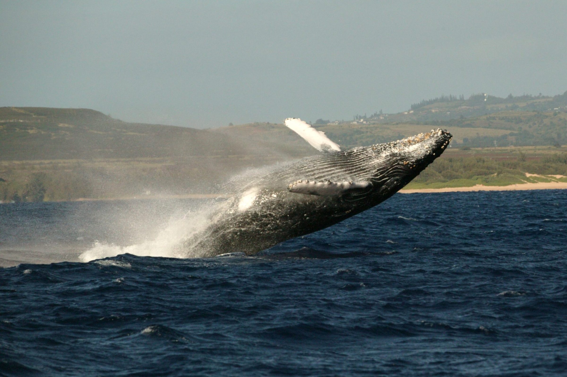 a man flying through the air while riding a wave in the ocean