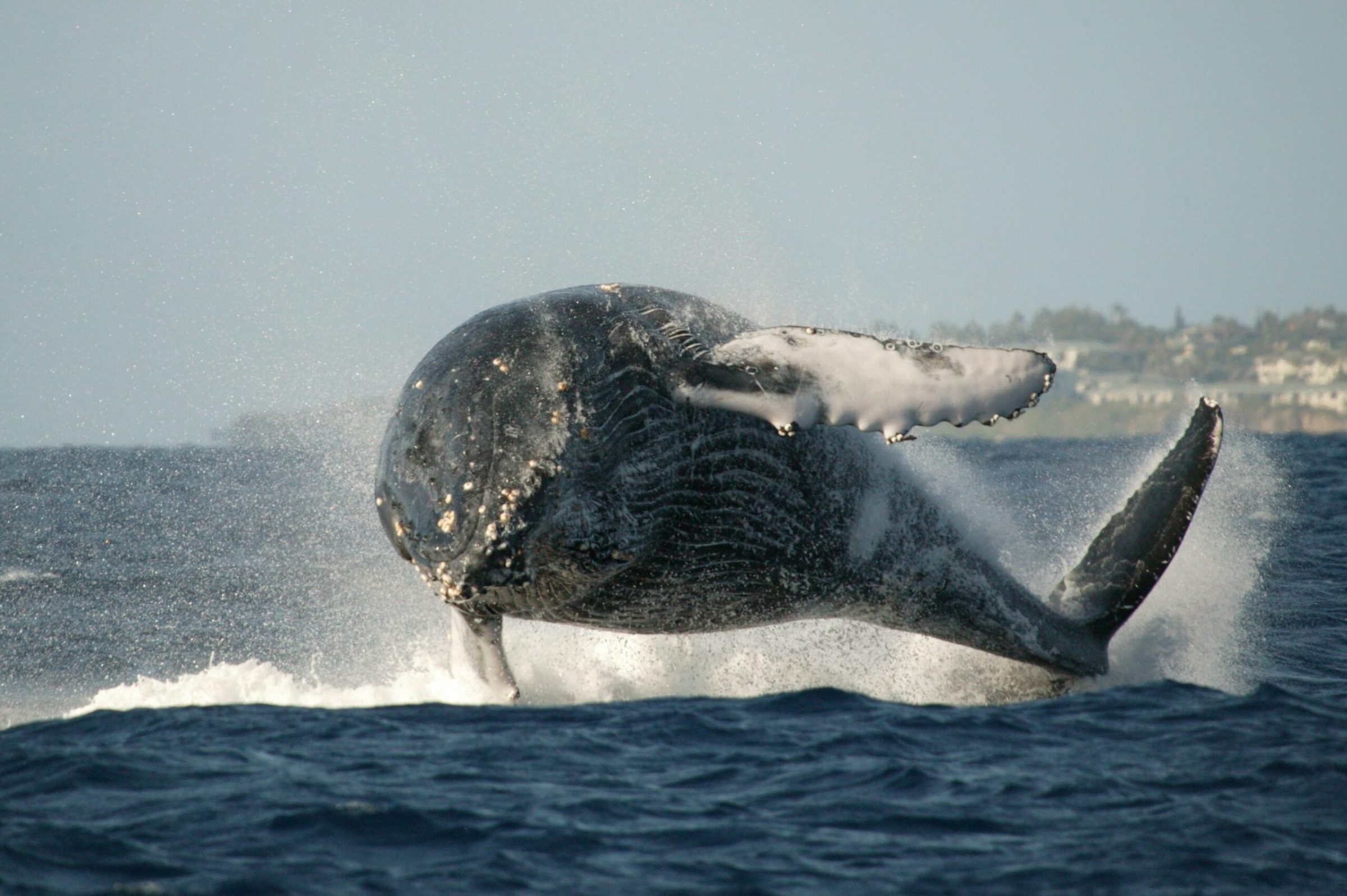 a man riding a wave on top of a body of water