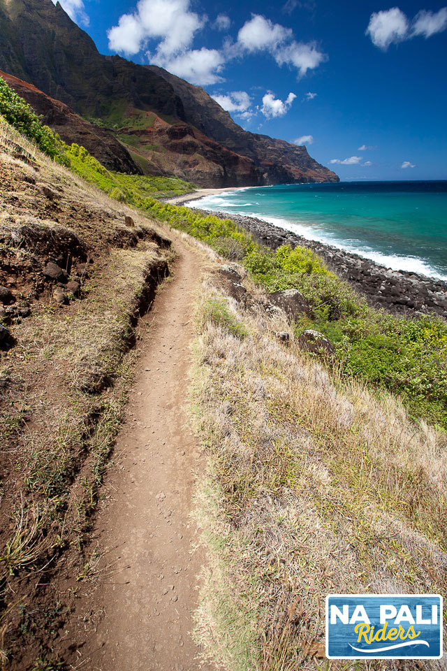 a dirt path next to a body of water