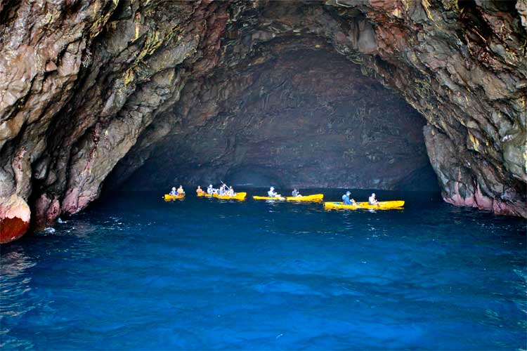 a group of people swimming in a body of water